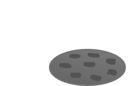 Animal5