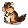 Chipmunk4