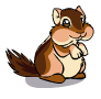 Chipmunk1