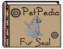PetPedia - Fur Seal