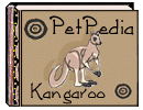 PetPedia - Kangaroo