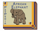 PetPedia - African Elephant