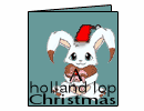 A Holland Lop Christmas