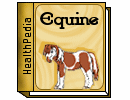 HealthPedia - Equine