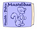 Healthpedia - Mustelidae