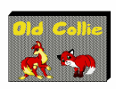 Old Collie