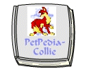 PetPedia - Collie