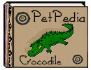 PetPedia - Crocodile