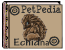 PetPedia - Echidna