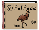 Petpedia - Emu