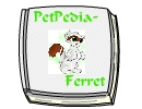 PetPedia - Ferret