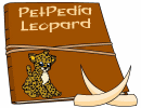 PetPedia - Leopard