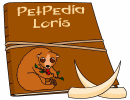 PetPedia - Loris