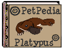 PetPedia - Platypus