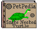 PetPedia - Snake Necked Turtle