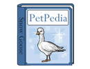 PetPedia - Snow Goose