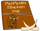 PetPedia - Tibetan Yak
