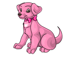 Labrador_retriever