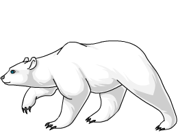 Polar_Bear